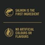 Purina Pro Plan Salmon & Rice Dog Food 2.27 kg