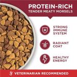 Purina ONE Beef & Rice Dry Dog Food 6.8 kg