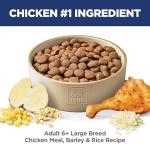 Hill's Science Diet Large Breed Senior Dog Food