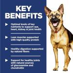 Hill's Science Diet Large Breed Senior Dog Food