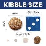 Hill's Science Diet Large Breed Senior Dog Food