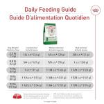 Royal Canin Small Adult 8+ Dry Dog Food