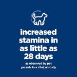 Hill's Science Diet Senior Chicken Recipe Dog Food