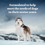 Blue Buffalo Wilderness Grain-Free Senior Wet Dog Food