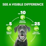 IAMS Healthy Aging Chicken & Whole Grain Dog Food