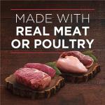 Purina ONE Tender Cuts Dog Food Gravy Variety Pack