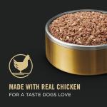 Purina Pro Plan Senior Chicken & Rice Wet Dog Food
