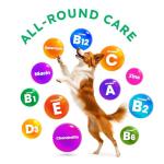 Chewable Dog Multivitamins for Immune & Joint Health