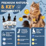L-Lysine Cat Supplement for Immune Support - 60ML