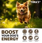 Turkey Tail Mushroom Chews for Dogs - 170 Count