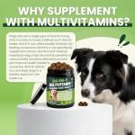 Chewable 24-in-1 Dog Multivitamins with Chicken Flavor