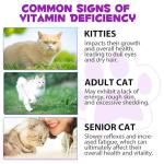 15-in-1 Cat Multivitamin Drops for Overall Health