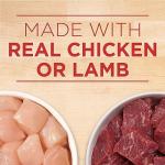 Purina ONE Tender Cuts Wet Dog Food Variety Pack