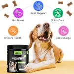Chewable Dog Multivitamins for Immune & Joint Health