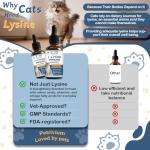 L-Lysine Cat Supplement for Immune Support - 60ML