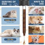 L-Lysine Cat Supplement for Immune Support - 60ML