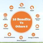 34-in-1 Dog Multivitamin Soft Chews for Health