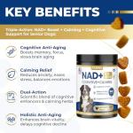 Dog Cognitive & Calming Chews for Seniors