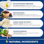 Dog Cognitive & Calming Chews for Seniors