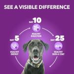 IAMS Advanced Health Dry Dog Food - Chicken & Salmon