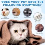 ALIVO L-Lysine Immune Support Drops for Cats