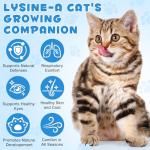 ALIVO L-Lysine Immune Support Drops for Cats
