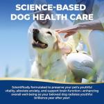 Dog Cognitive & Calming Chews for Seniors