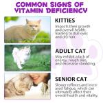 15-in-1 Liquid Cat Multivitamins for Overall Health