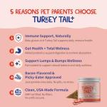 Turkey Tail Mushroom for Dogs - Immune Support Supplement