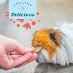 Oxbow Vitamin C & Fiber Supplement for Guinea Pigs