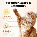 Cat Vitamin Treats for Health and Wellness