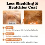 Cat Vitamin Treats for Health and Wellness