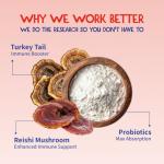 Turkey Tail Mushroom for Dogs - Immune Support Supplement