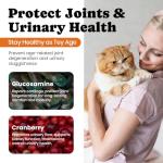 Cat Vitamin Treats for Health and Wellness