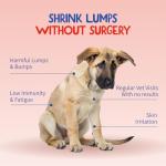 Turkey Tail Mushroom for Dogs - Immune Support Supplement