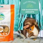 Oxbow Vitamin C & Fiber Supplement for Guinea Pigs
