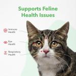 Vetoquinol Viralys Maple Flavored L-Lysine Gel for Cats