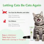 Vetoquinol Viralys Maple Flavored L-Lysine Gel for Cats