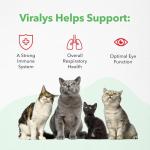 Vetoquinol Viralys Maple Flavored L-Lysine Gel for Cats