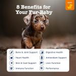 Zesty Paws Chewable Dog Multivitamin for Health