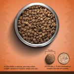 Zoë Medium Breed Dry Dog Food, Turkey & Chickpea