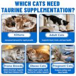 Cat Taurine Bites with Omega 3 & Vitamins