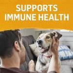 Grain Free Wet Dog Food Variety Pack - 6 Cans