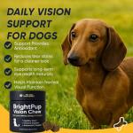 BrightPup Dog Vision Chews with Omega-3 & Vitamins