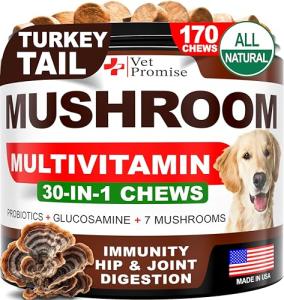 Turkey Tail Mushroom Chews for Dogs - 170 Count