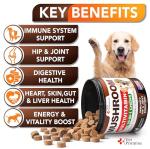 Turkey Tail Mushroom Chews for Dogs - 170 Count