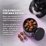 15-in-1 Cat Multivitamin Soft Chews with Fish Oil