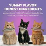 15-in-1 Cat Multivitamin Soft Chews with Fish Oil