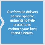 Life Extension Dog Vitamins and Probiotics Mix