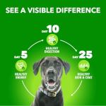 IAMS Proactive Health Dry Dog Food - Beef & Rice